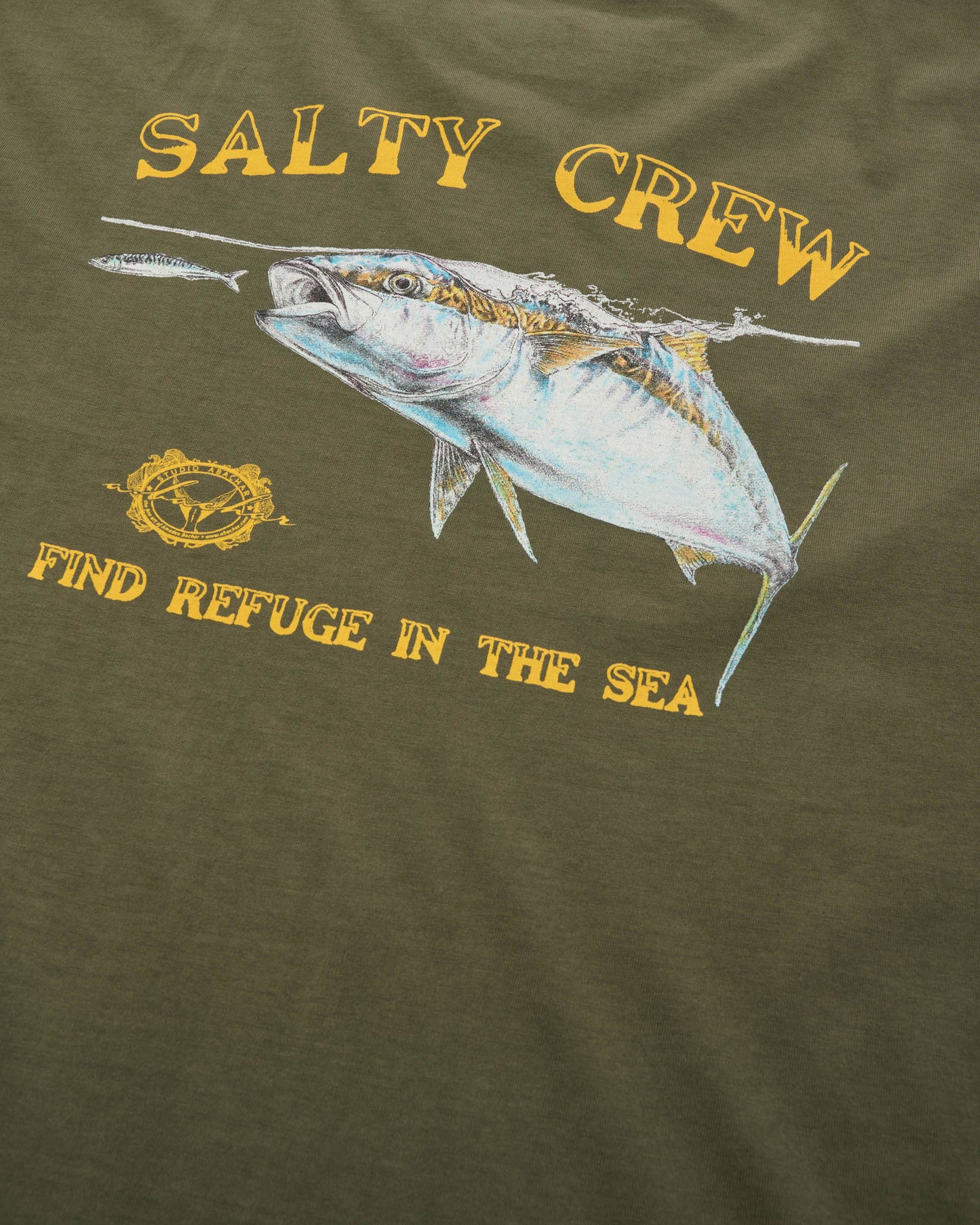 200358914A_DOL_8_1748321588