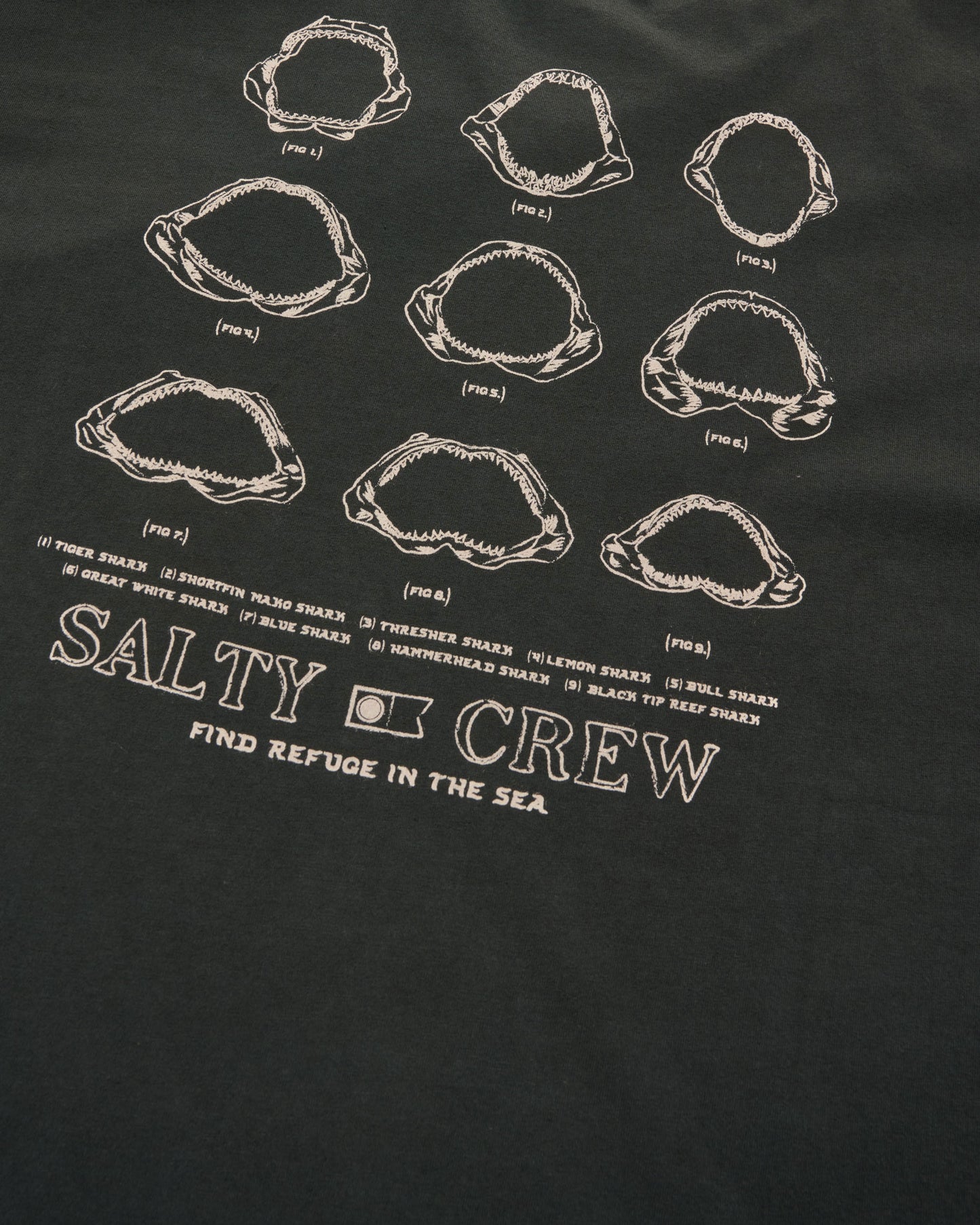 200358918A_BLK_8_1748321602