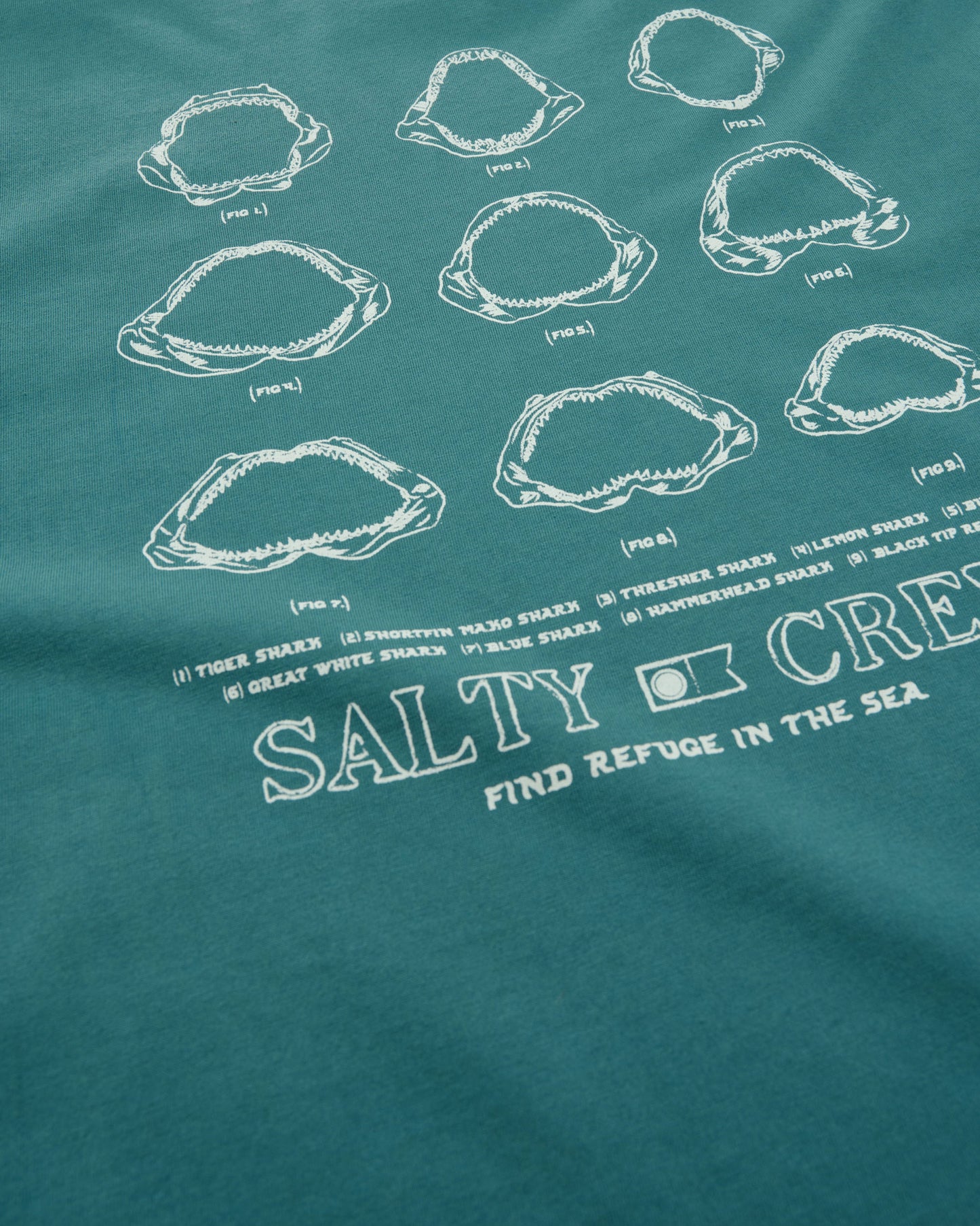 200358918A_Pigteal_8_1748321604