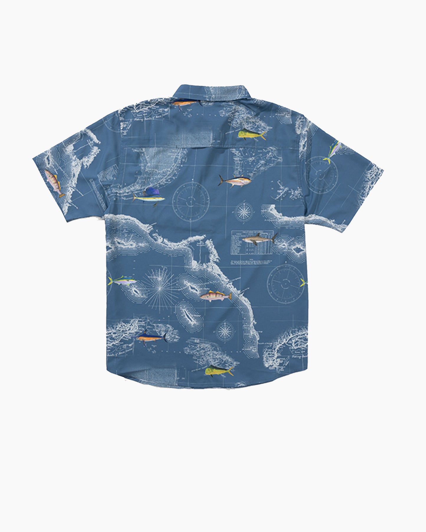 21035152_CHANBLU_2_1748236192