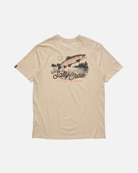 25035073A_SND_1_1772500656