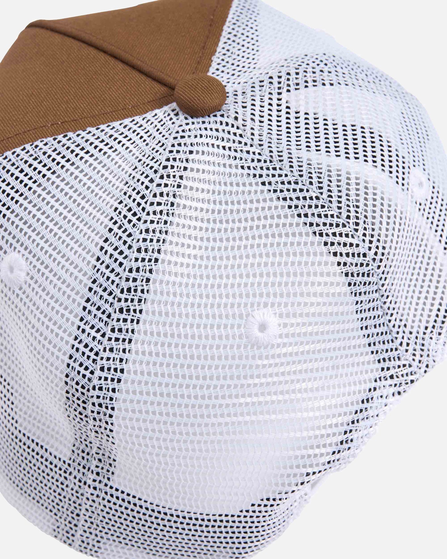 35035669A_FBRN_4_1758764787