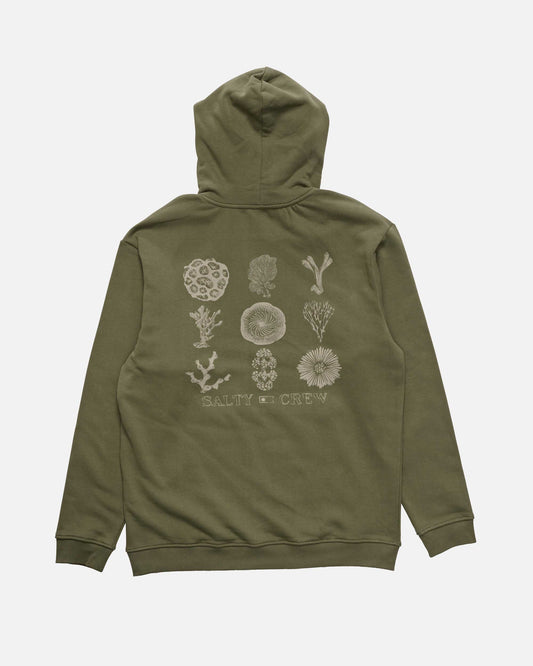 SCM64200_DOL_1_1767907113