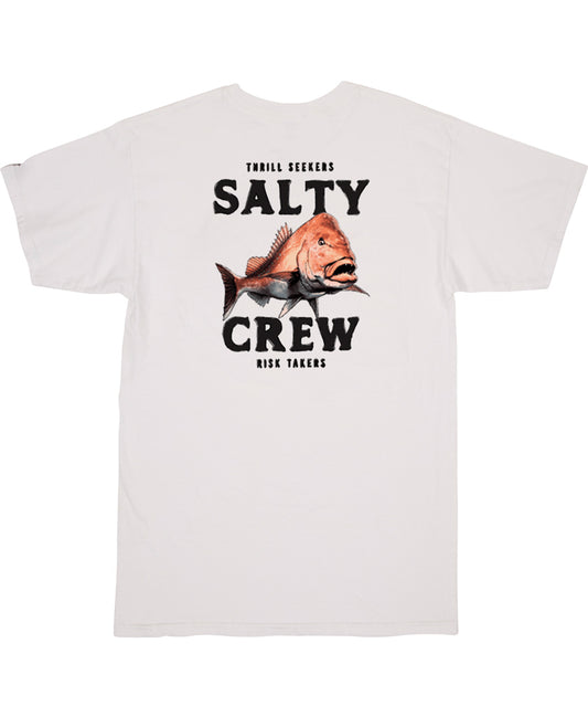 Ol Knobby S/S Tee T Shirts - Salty Crew Australia