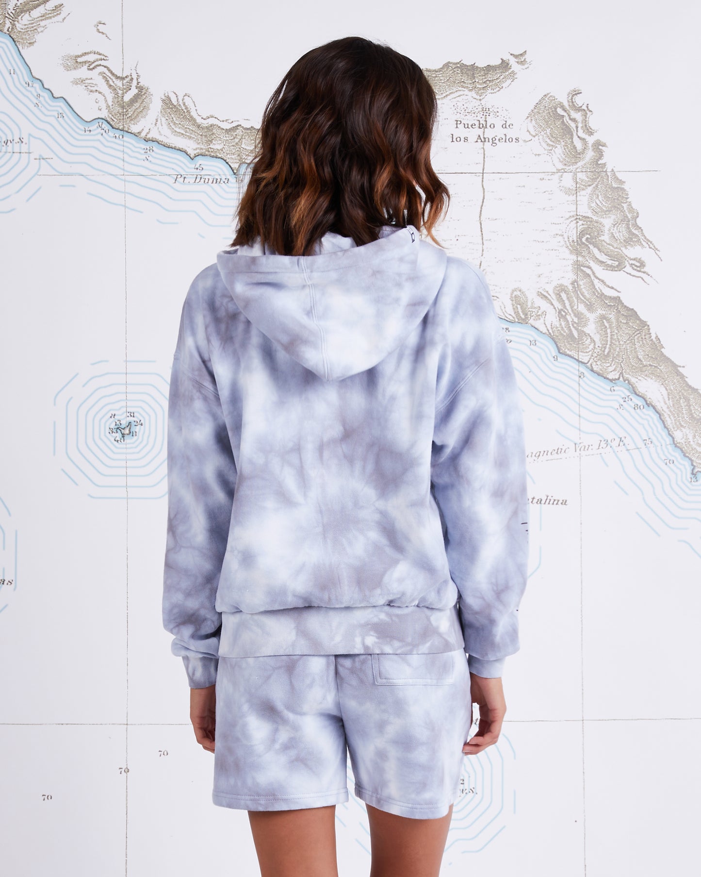 ALPHA ZIP HOODY - Stone