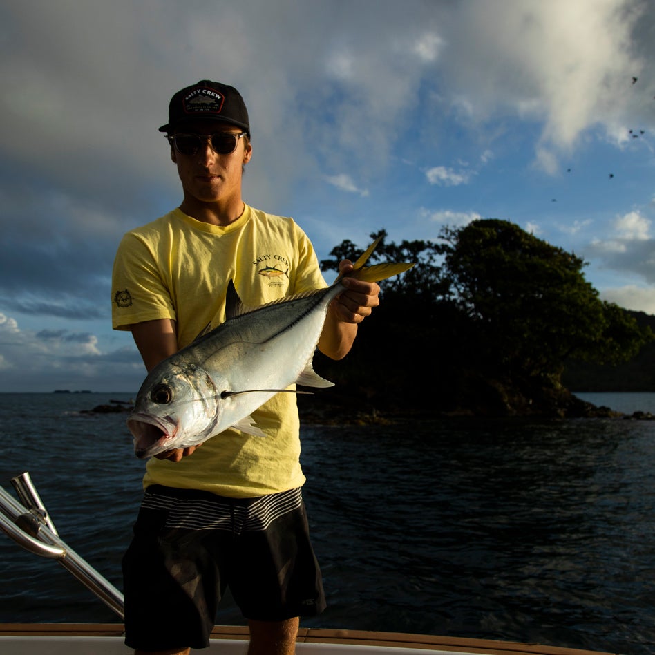 Ahi Mount S/S Tee
