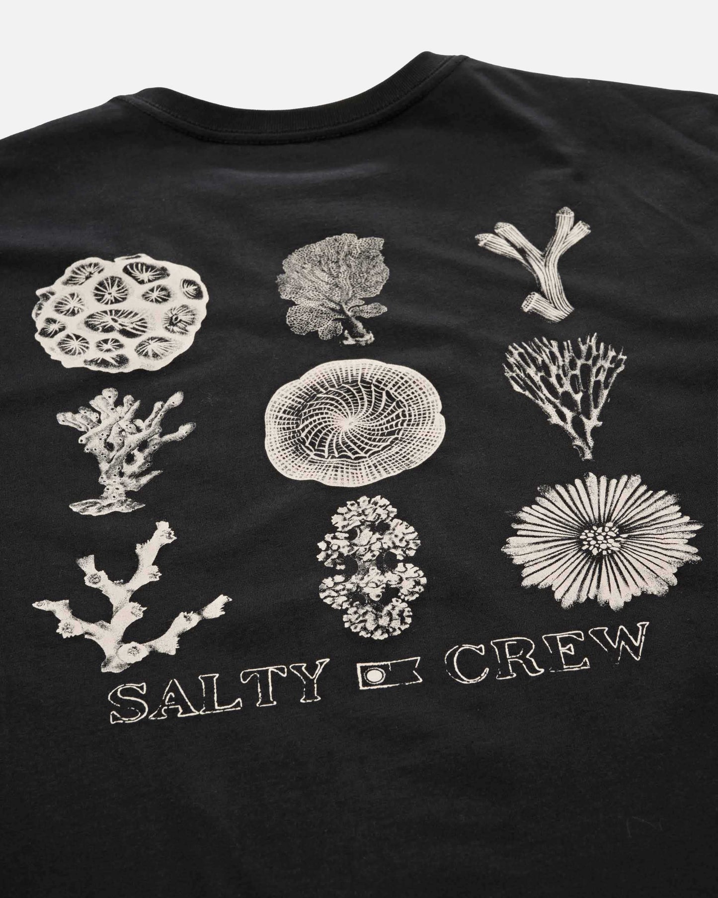 25035071A_BLK_4_1767907126