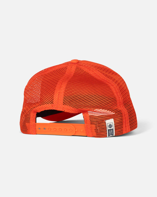 35035752W_CHLP_2_1767757812