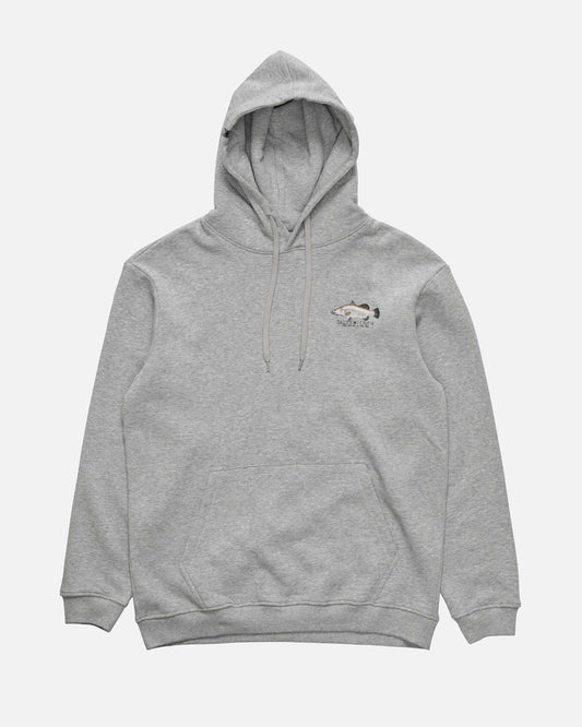 SCM65208_GML_2_1773366088