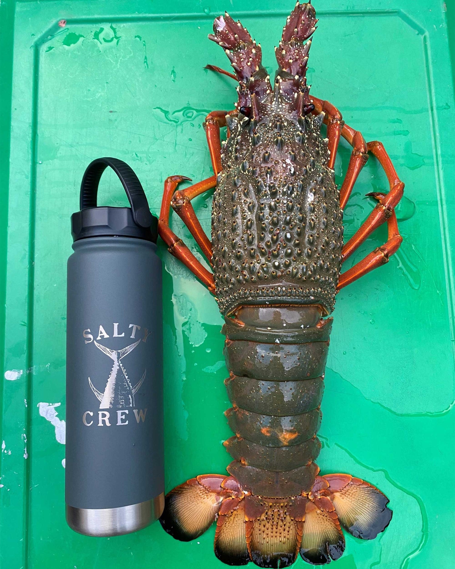 SCMA53011_CHAR_5_1761012785