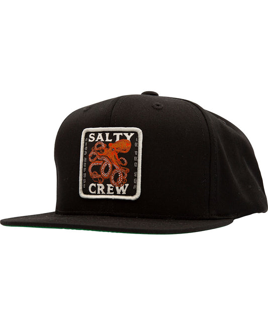Squiddy 6 Panel